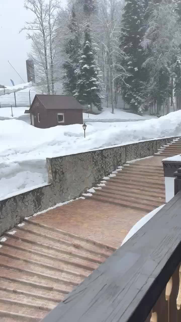 Заселились.)