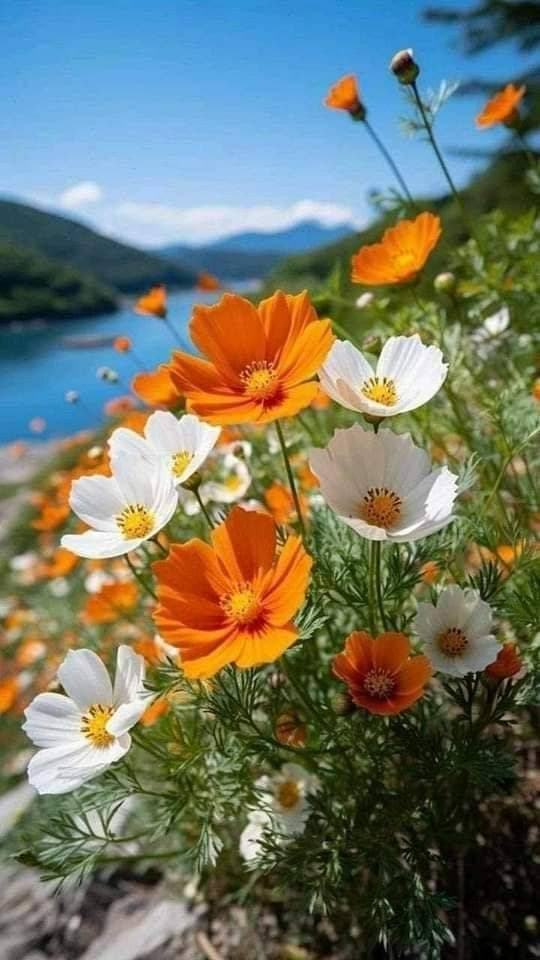 💐
