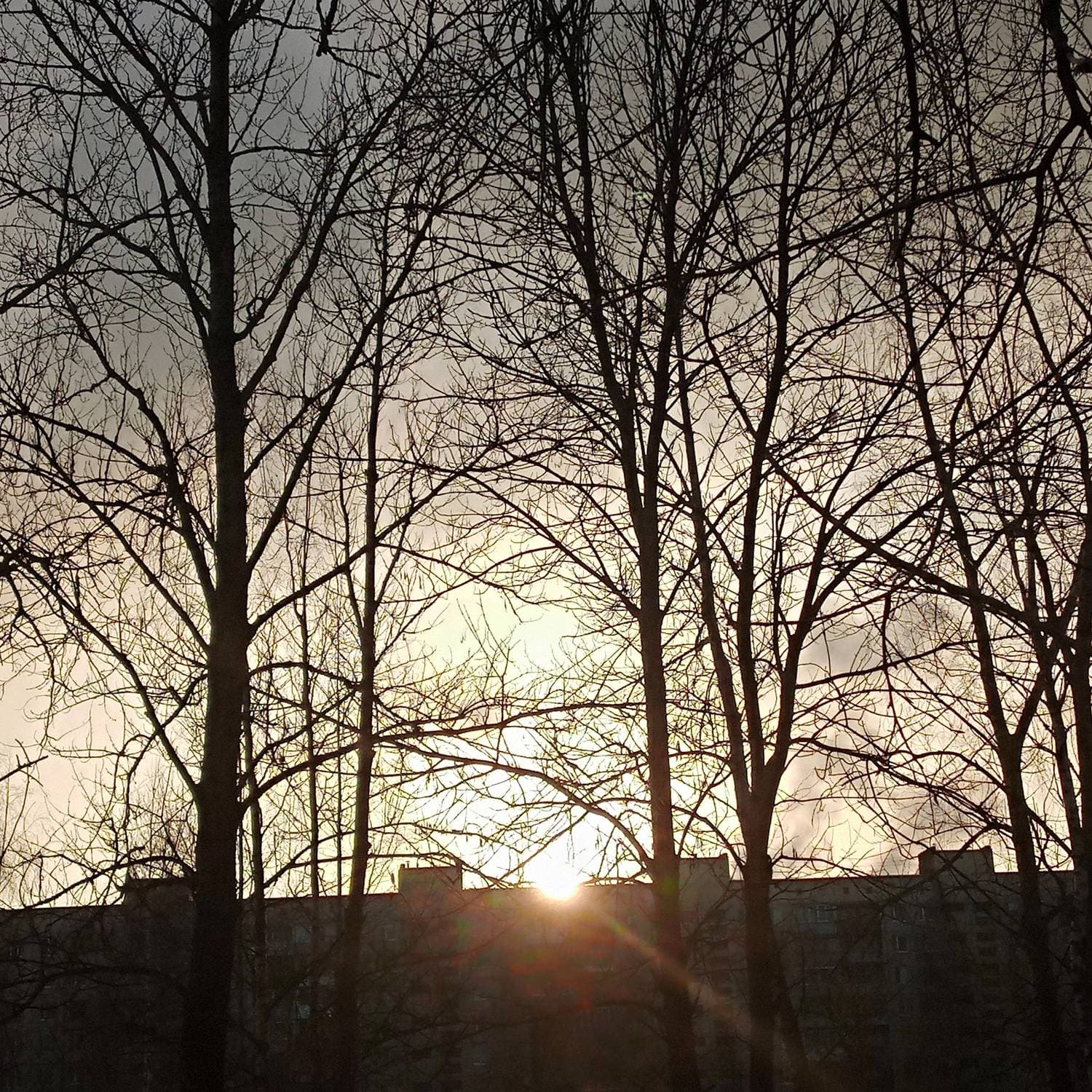 Лучики солнца 🌞