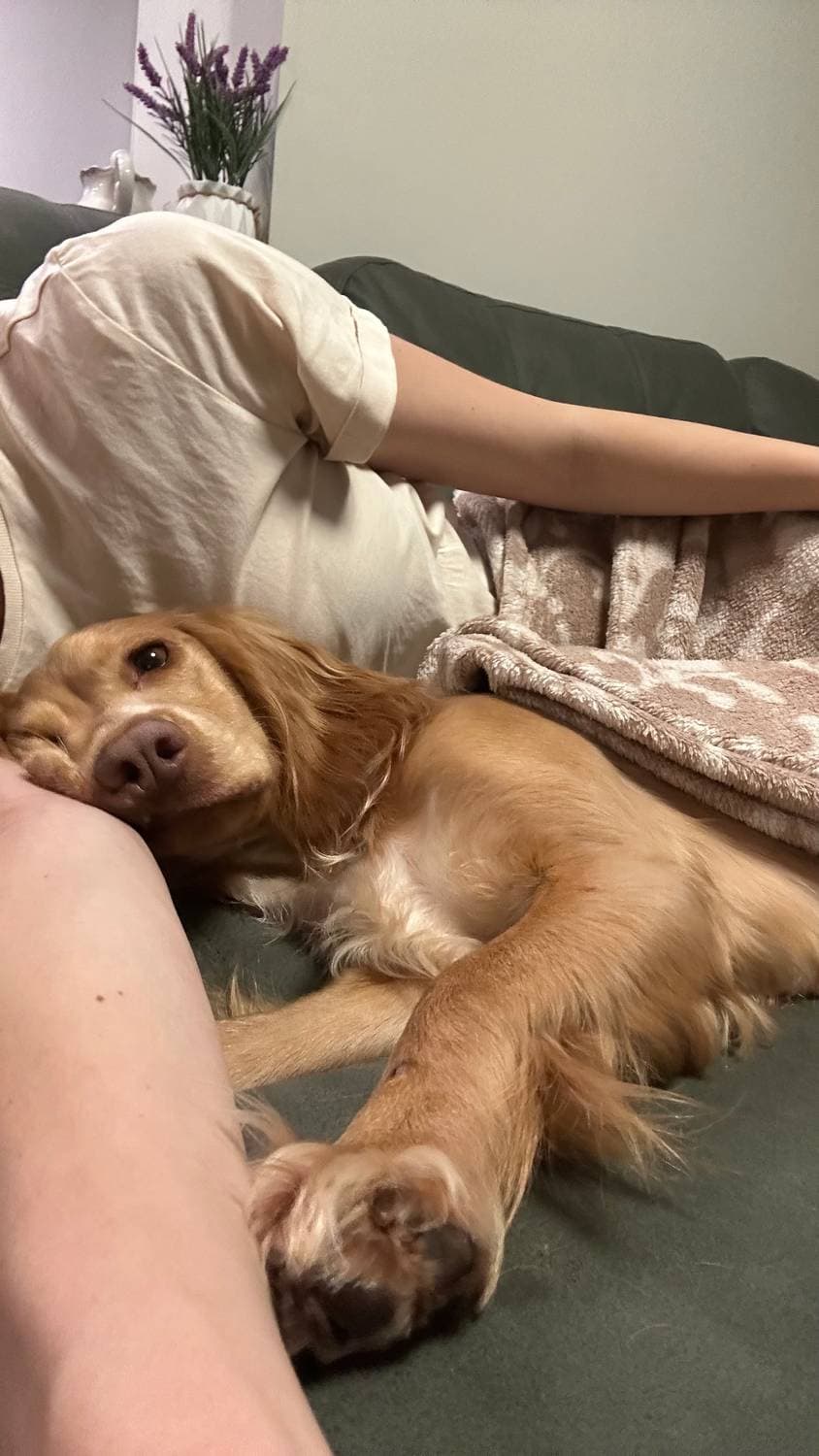 Вчера вечером, Эми тоже прилегла сериал смотреть