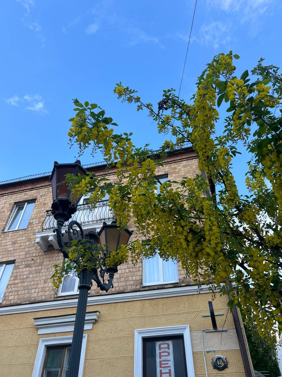 📍Брест