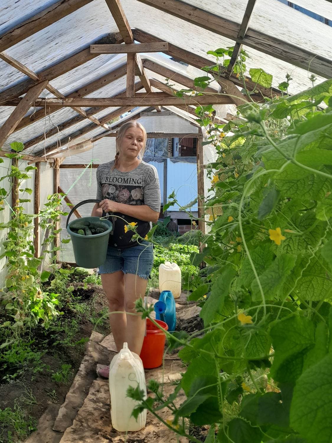 Осенняя дачуля-сентябрь. Дачный сезон 🏡❤️☀️2️⃣0️⃣2️⃣4️⃣.