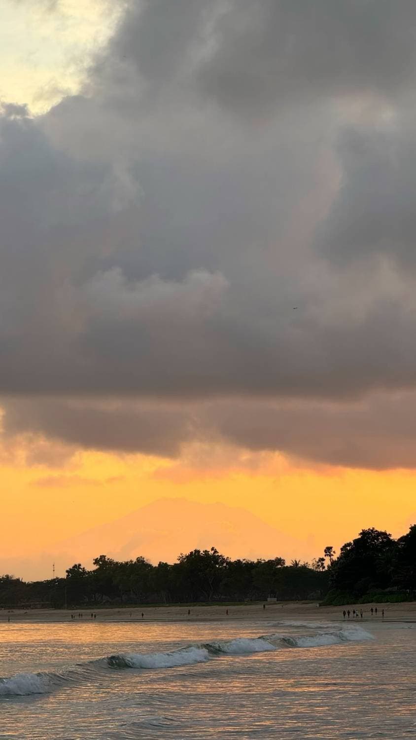 🇮🇩