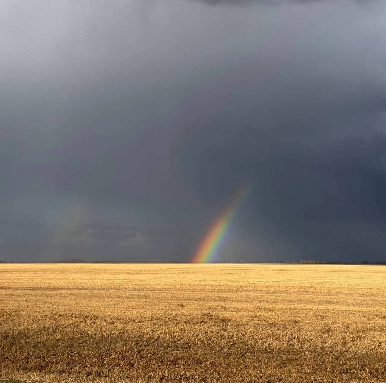 🌈Вчера жители Курьинского района наблюдали такую красоту.
Что-то нереальное 😍