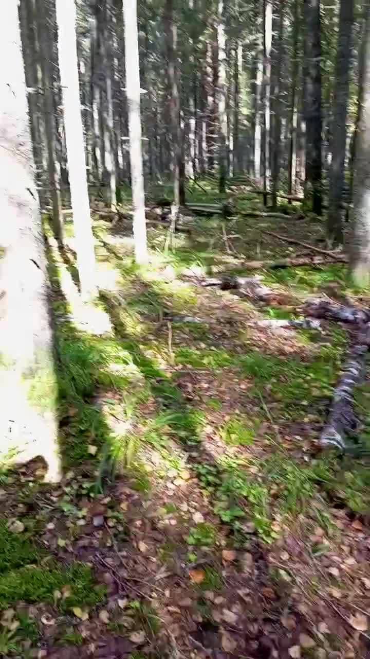 изобилие, а как у вас? 🙂