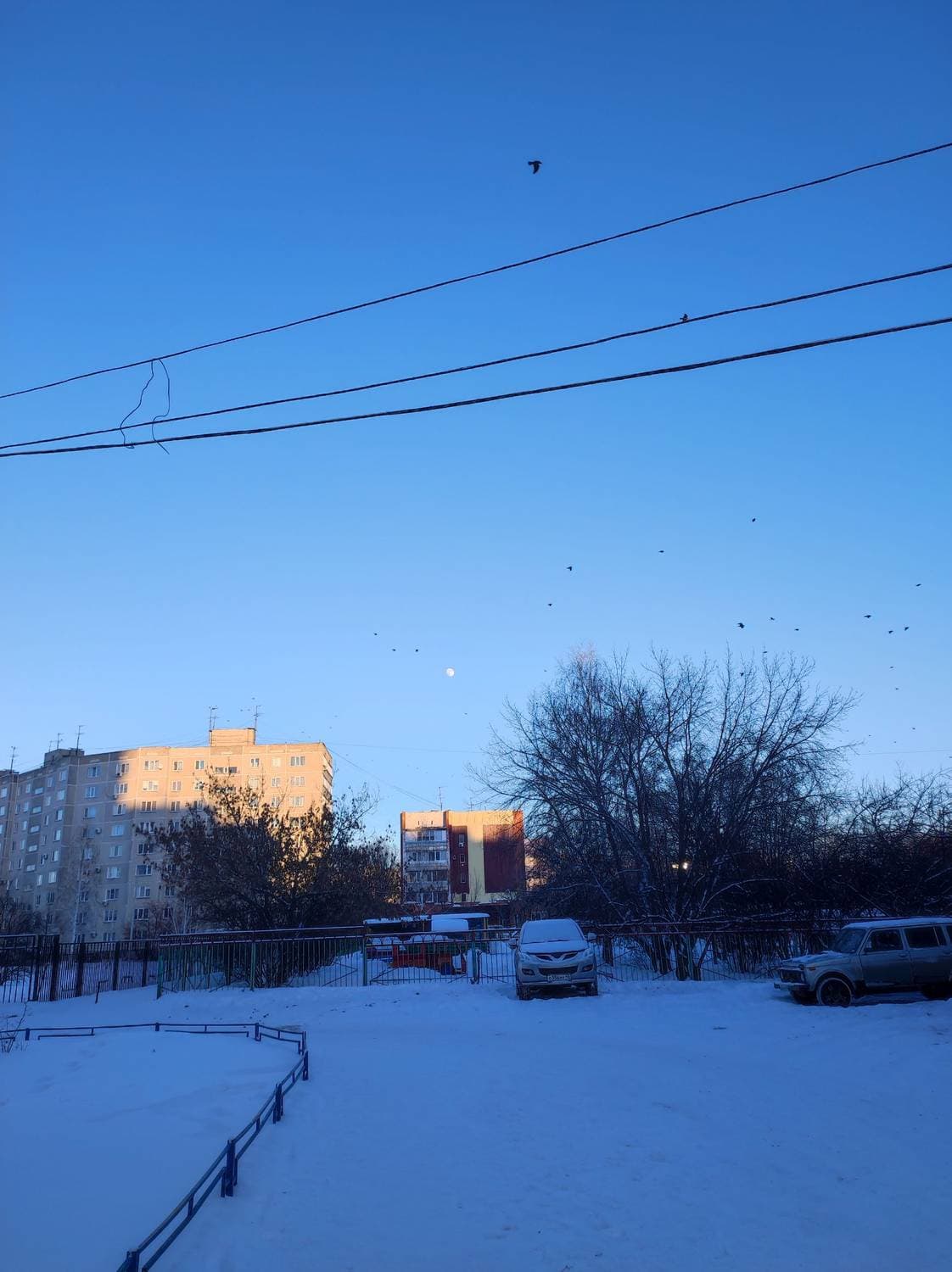 доброе утро