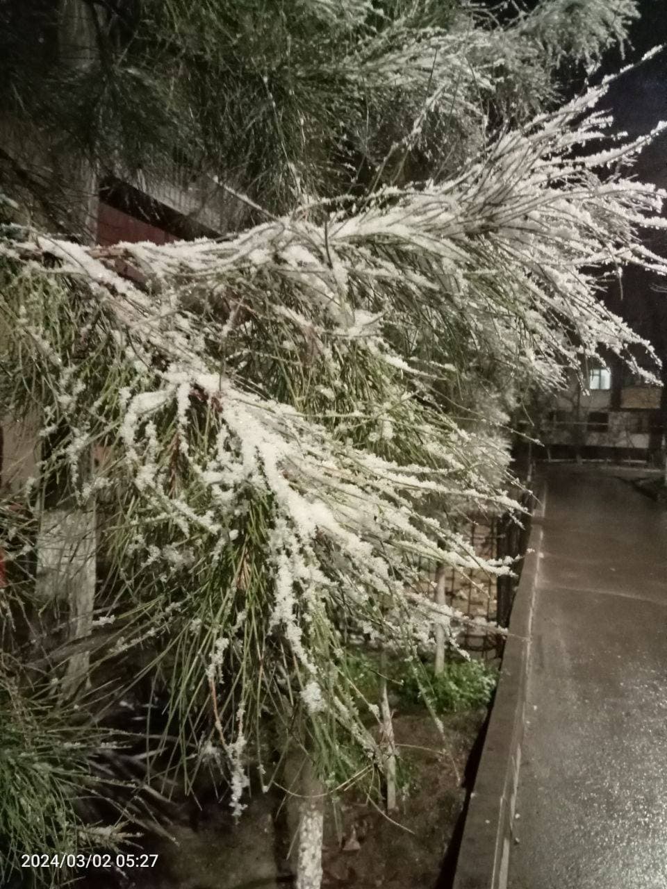 опять снежок ❄️