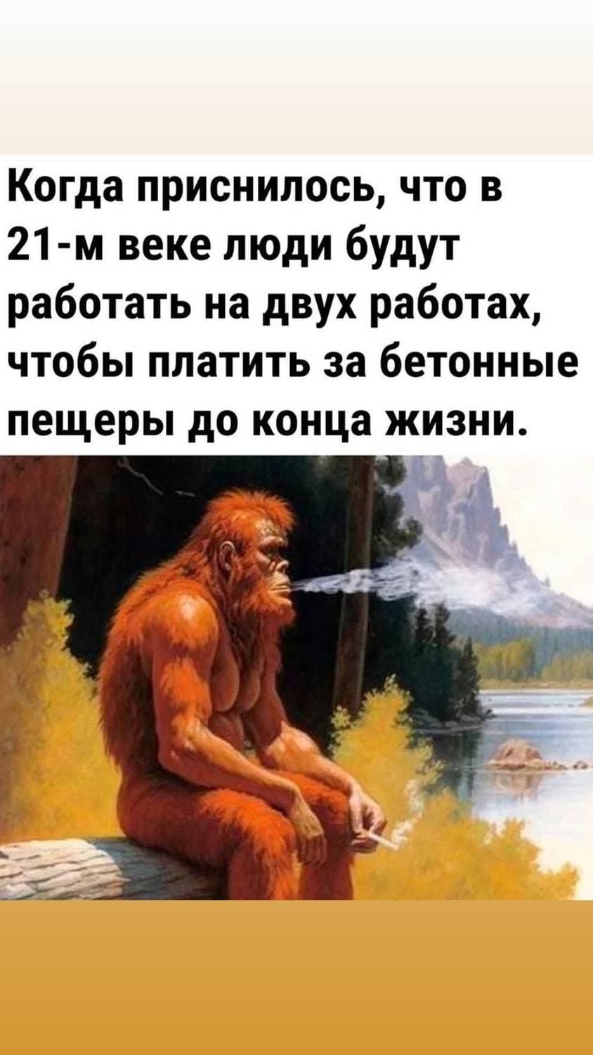 😂😂😂
