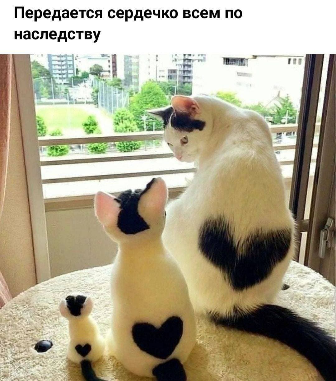 ❤️