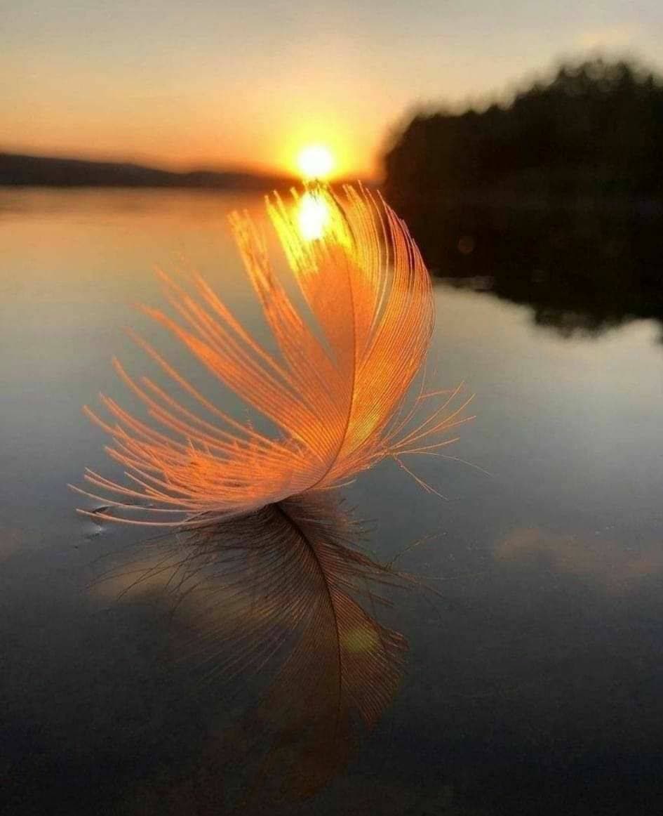 😍