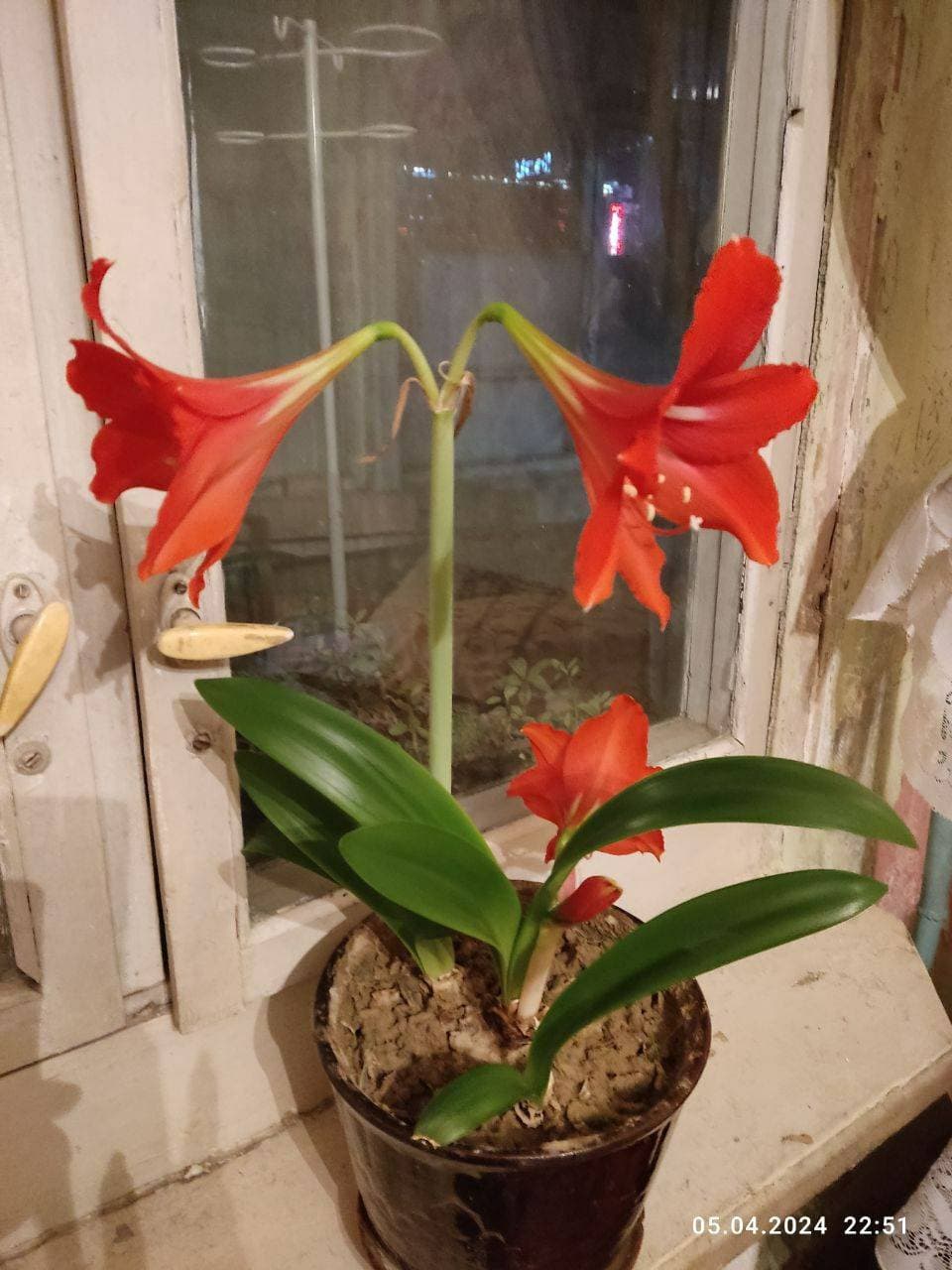 💐