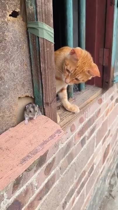 очень мило ❤️