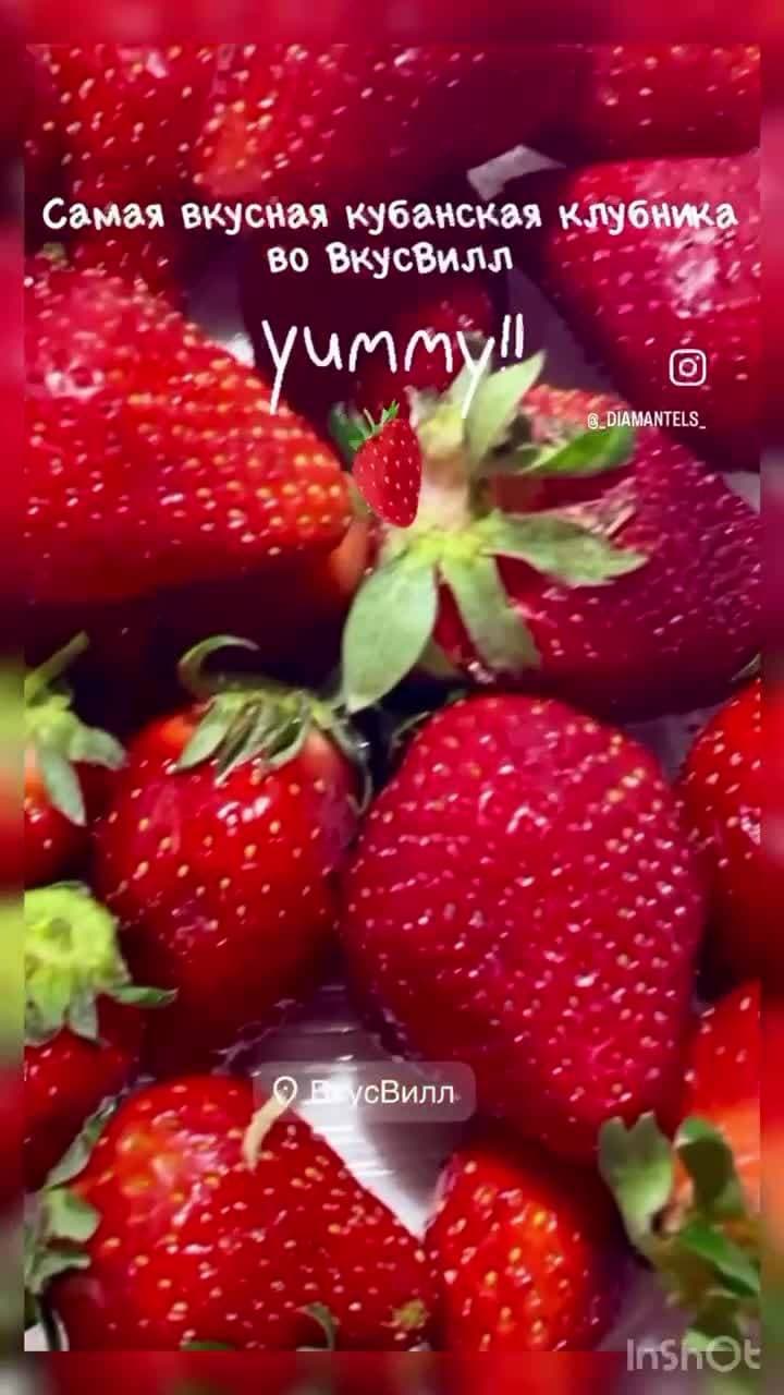 🍓🍓🍓