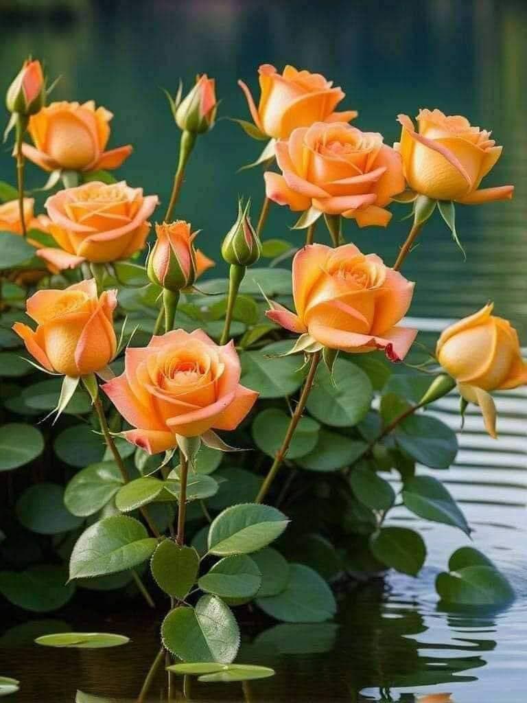💐