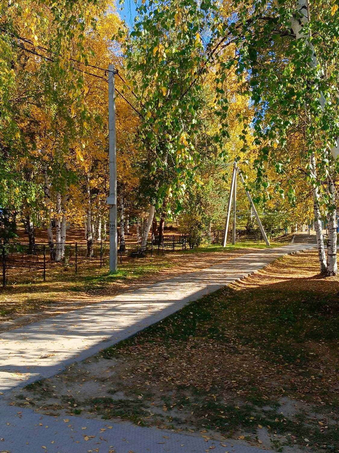 Осень 🍁🍁🍁