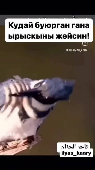 😯