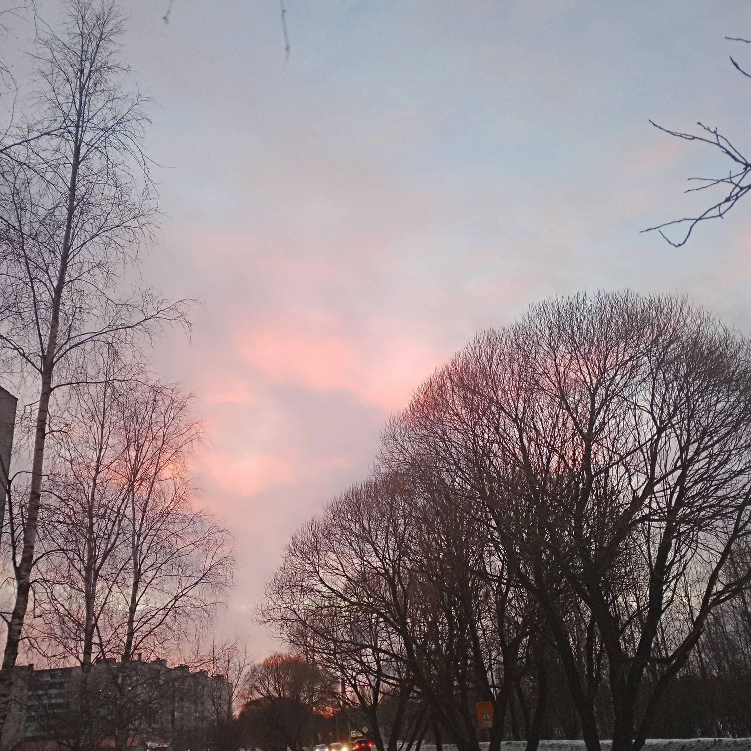 🌆