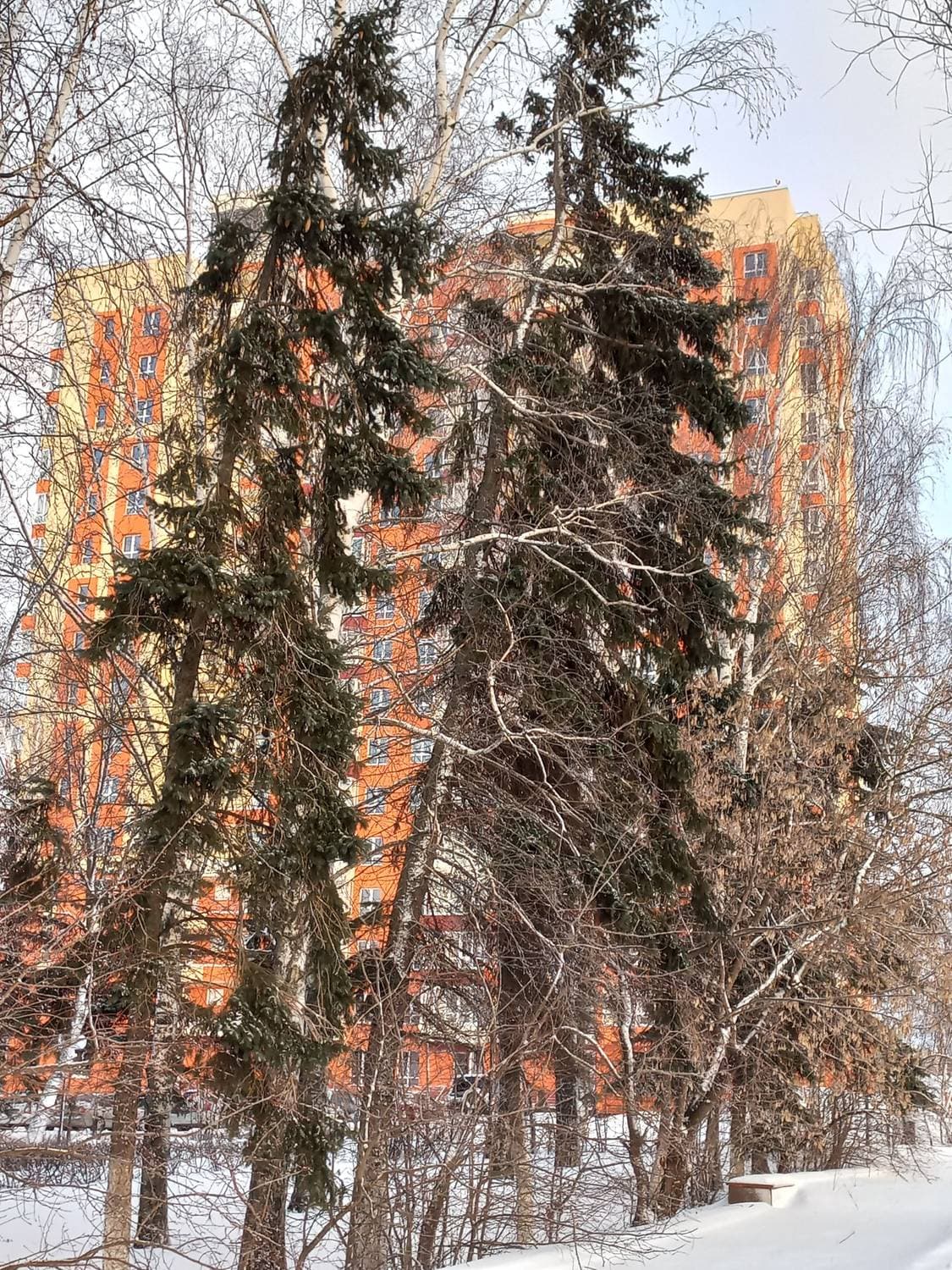 зима