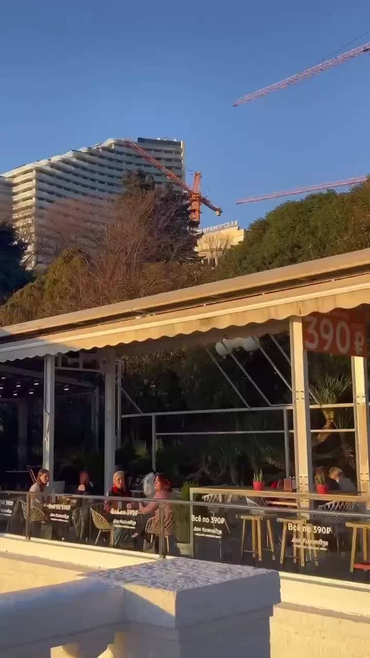 🌸🌴🍀