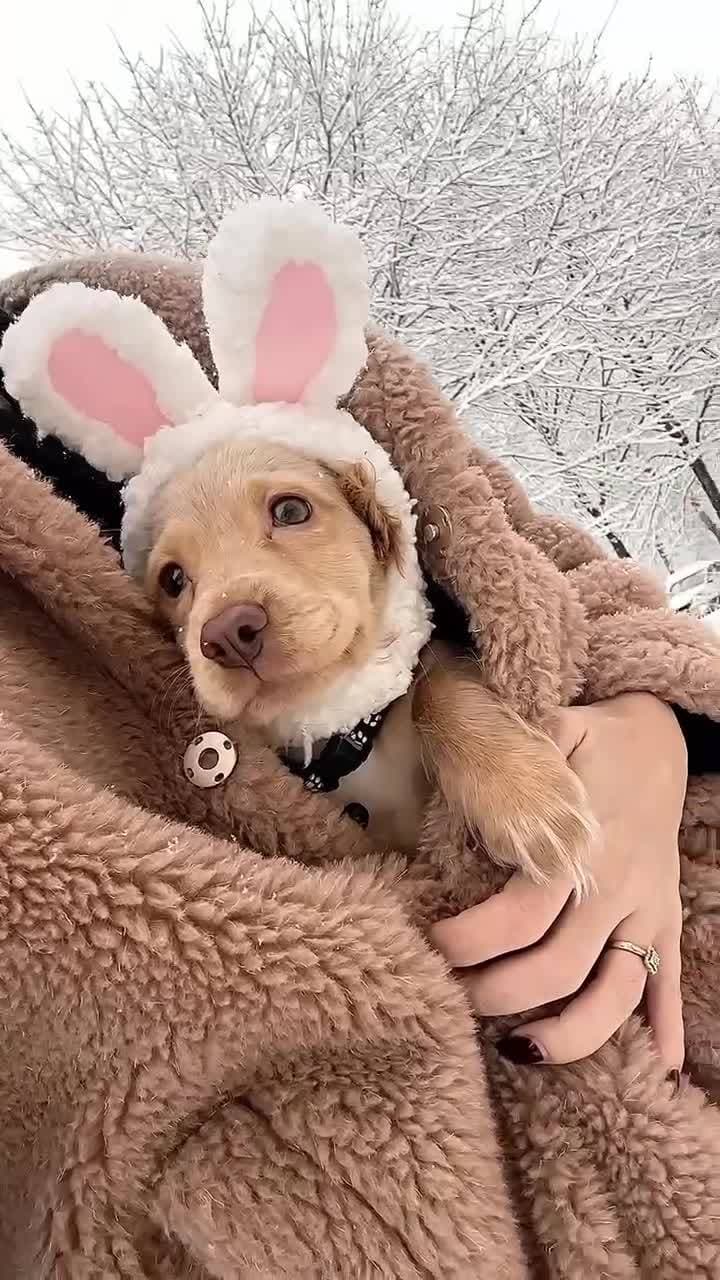 Зайка 🐰