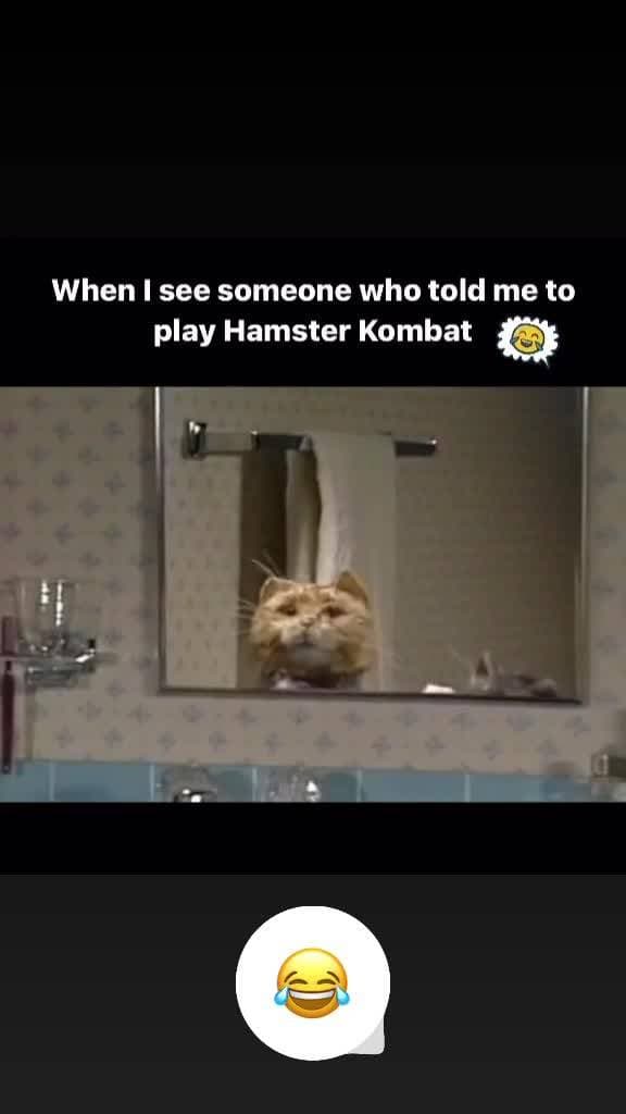 😂😂😂