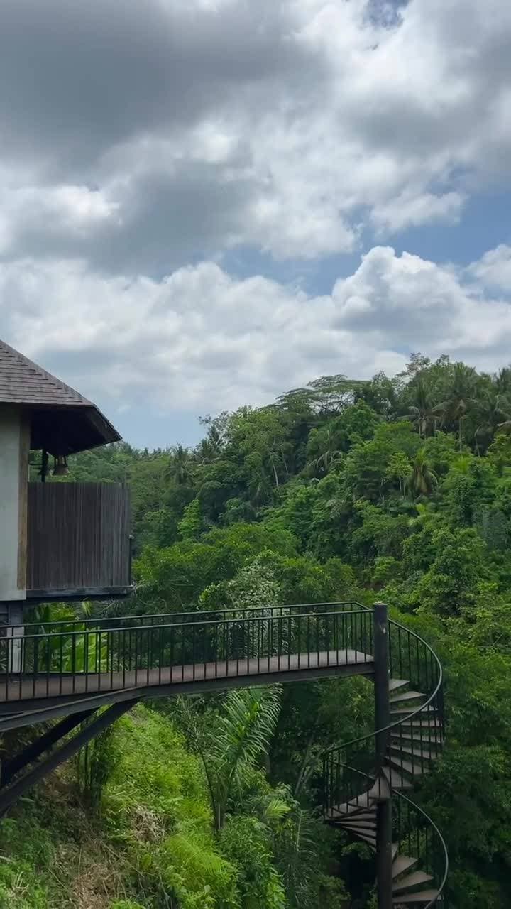 🇮🇩
