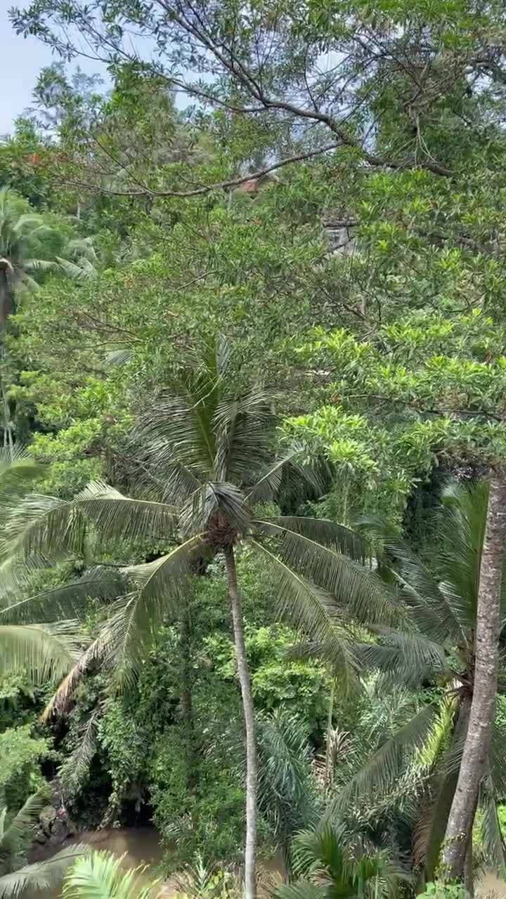 🇮🇩