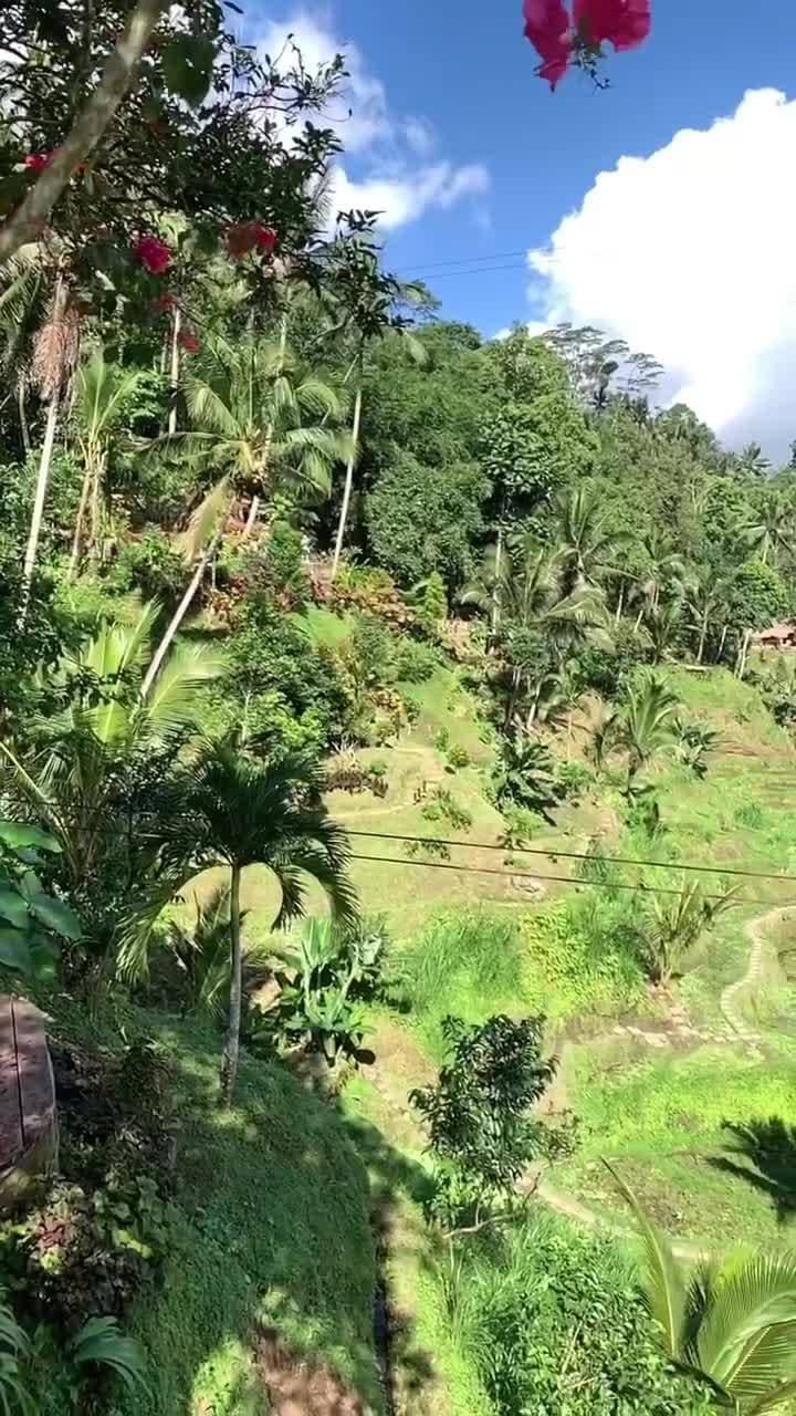 Красота Бали 🌴😍