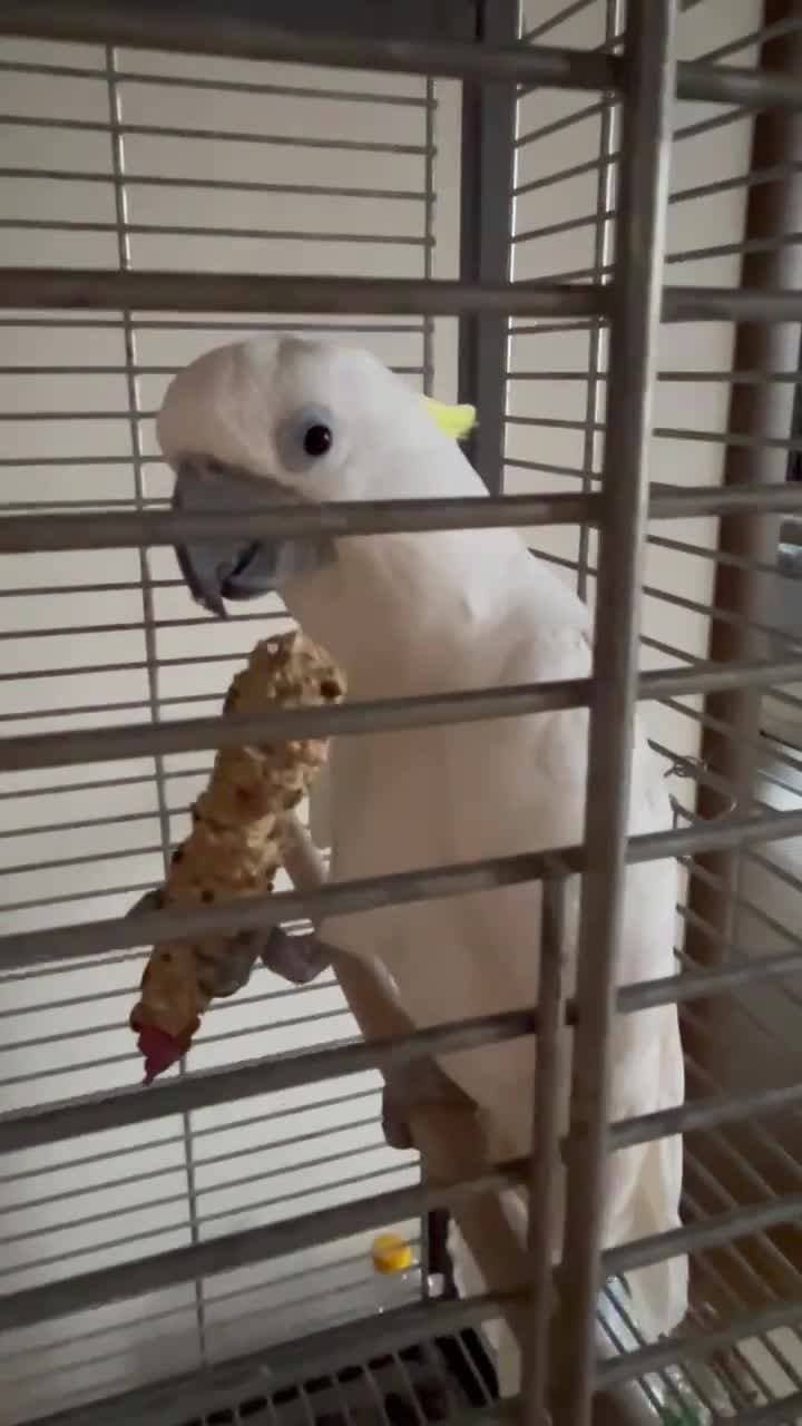 Вкусняшка