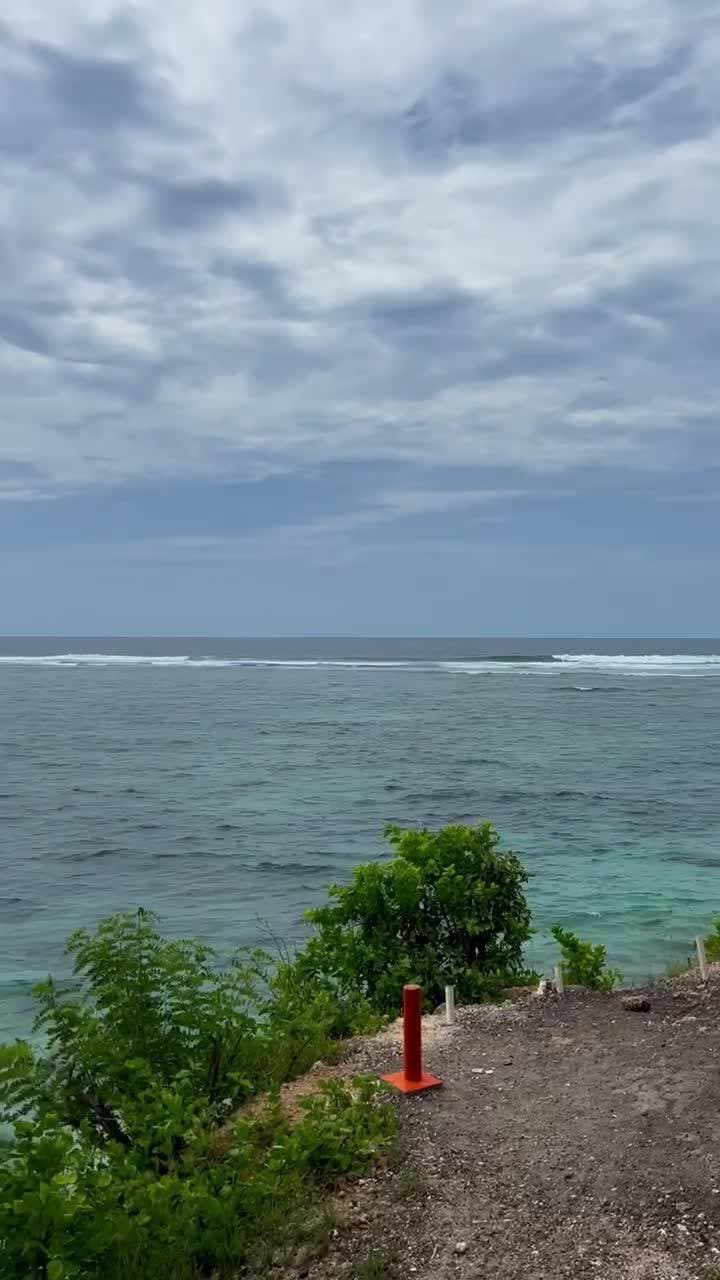 🇮🇩
