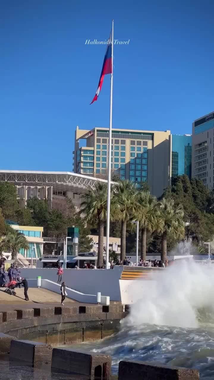 🌊🌊🌊