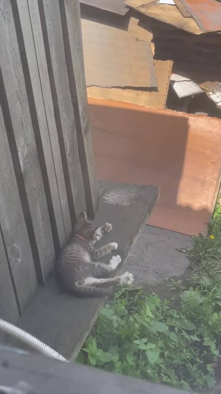 Всего два месяца а какой большой уже ☺️