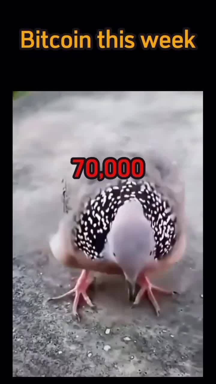 Btc