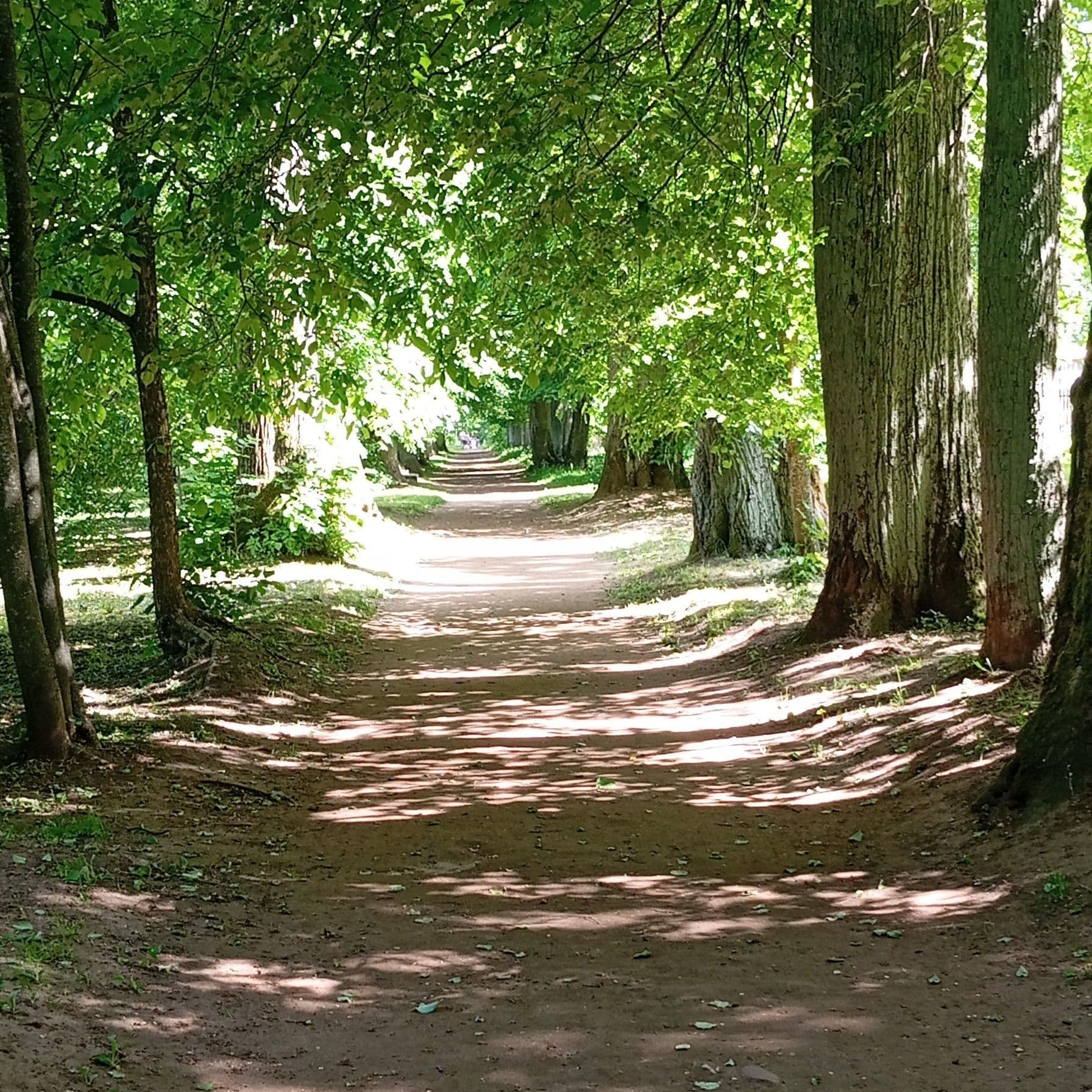 ✨в музей усадьбу мы не попали, была закрыта на реставрацию, но парк и аллеи - это восторг❤‍🔥