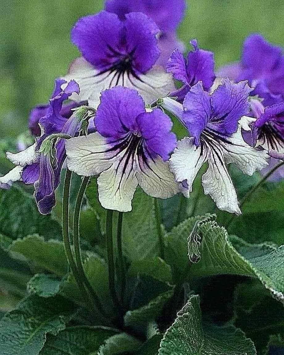 💐