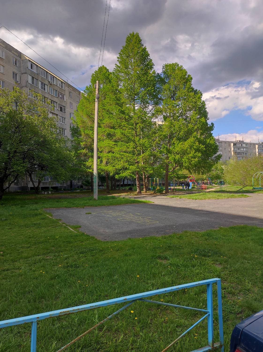 А у нас во дворе - добрый день