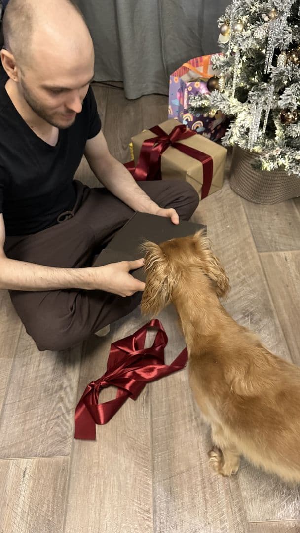 Новый год 🎄