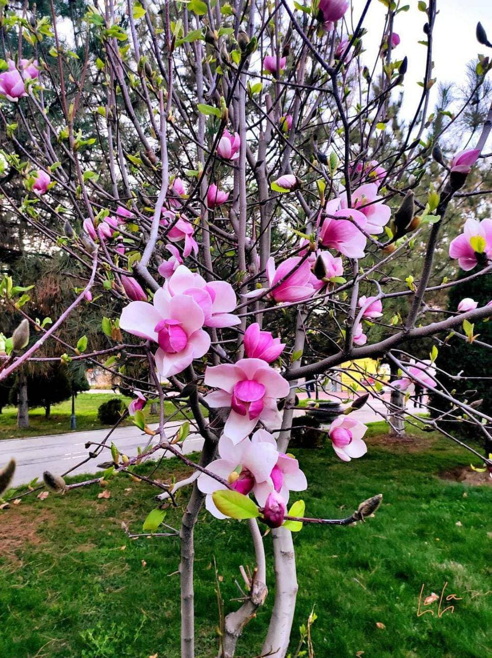 весна 💐❤️
