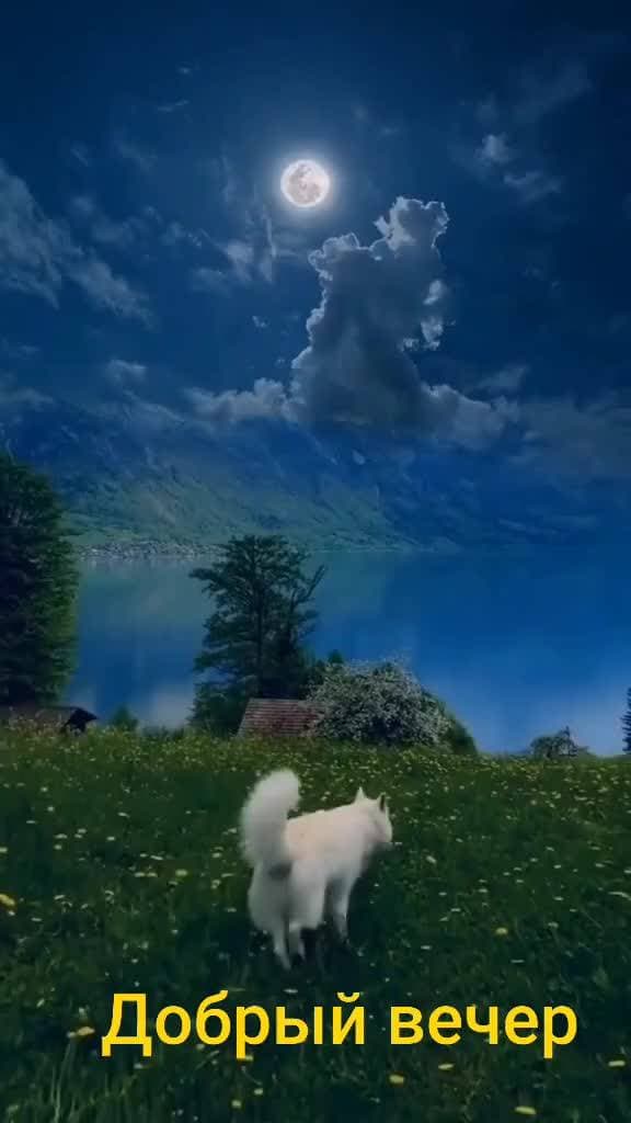 😍