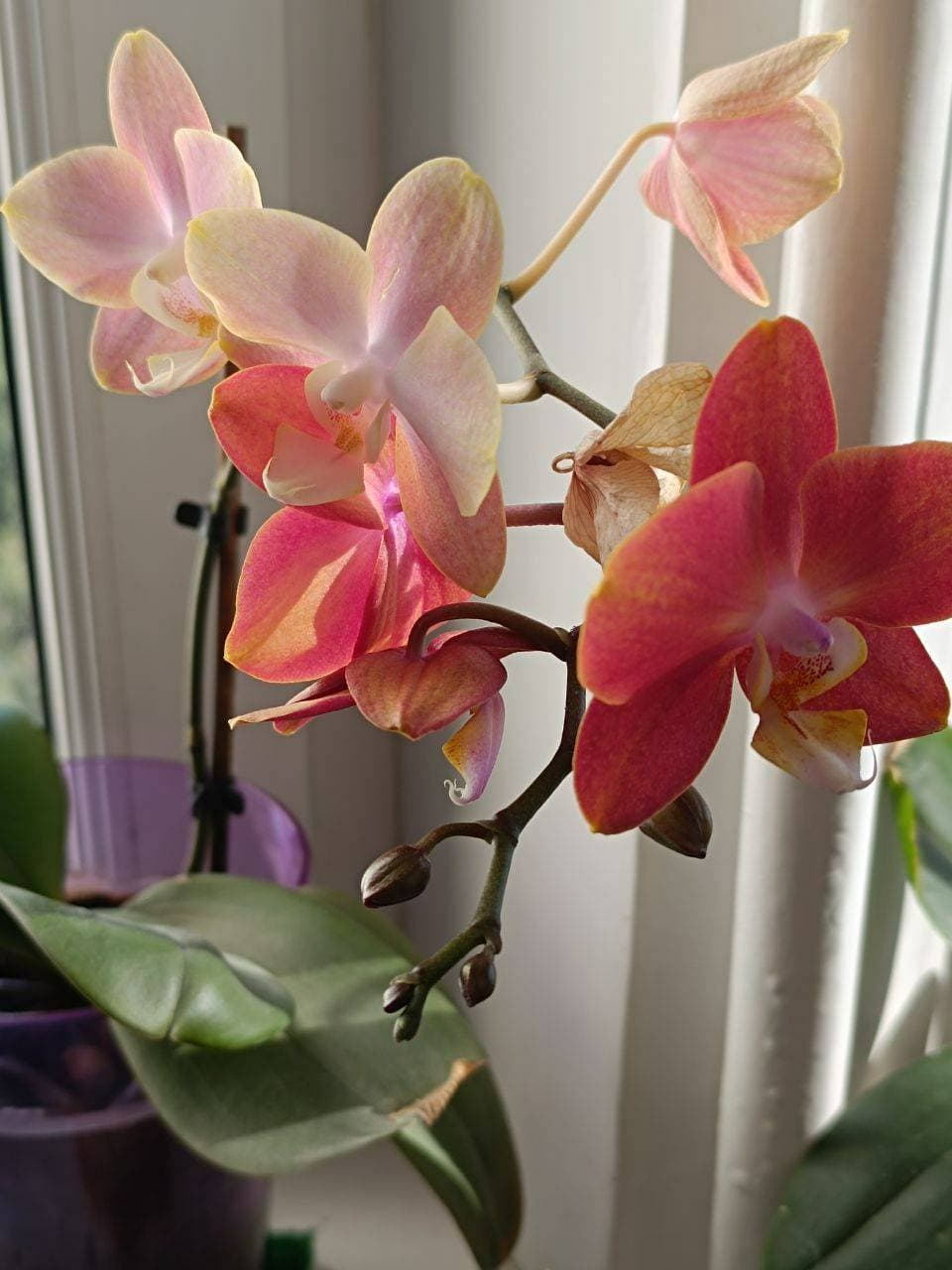 💐