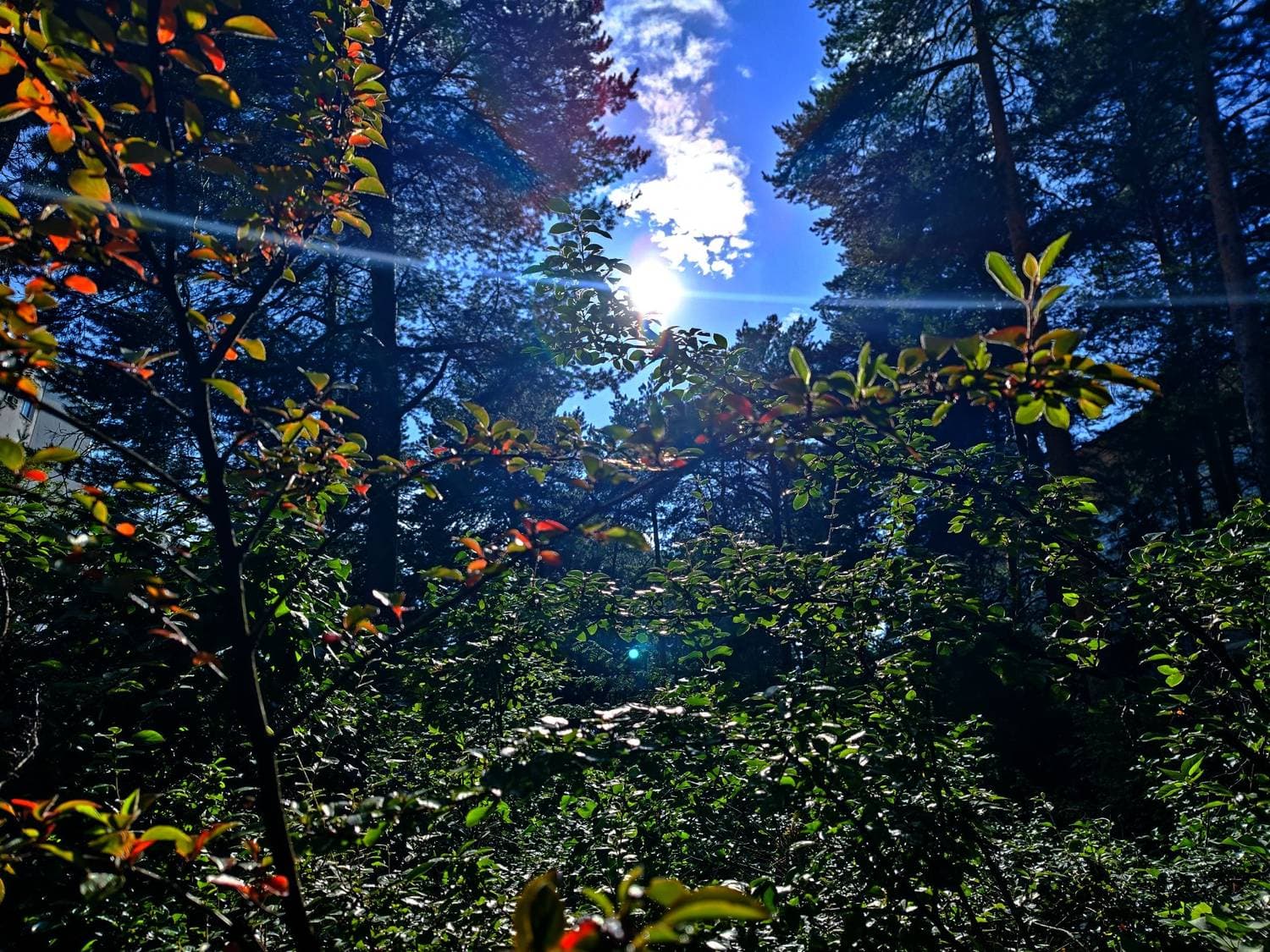 ☀️💙😊