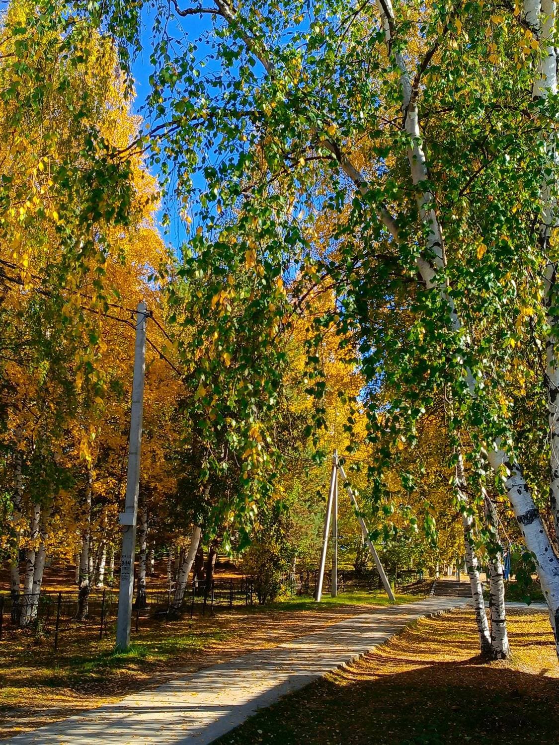 Осень 🍁🍁🍁