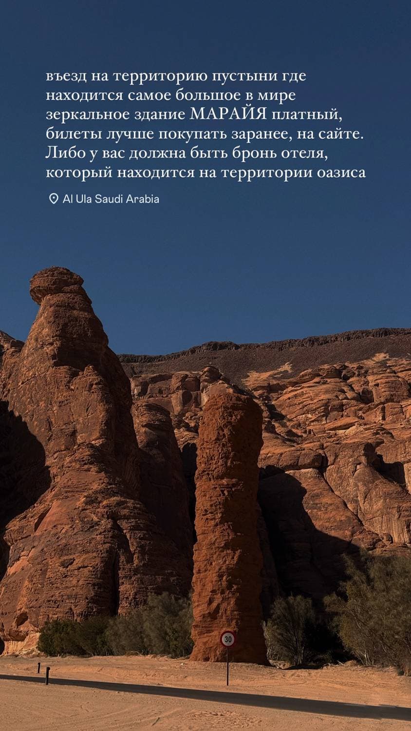 🇸🇦