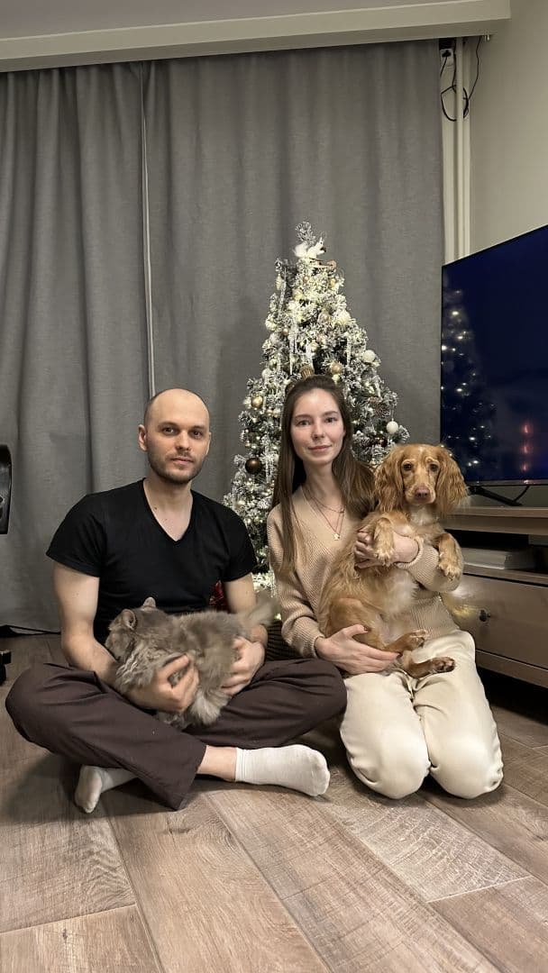 Новый год 🎄