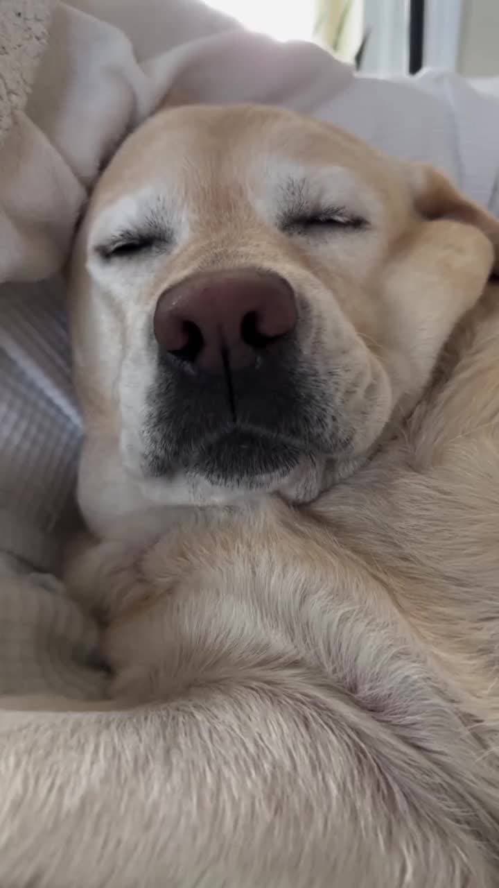 всем спокойной ночи ❤️