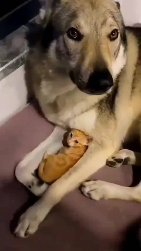 нежность ❤️