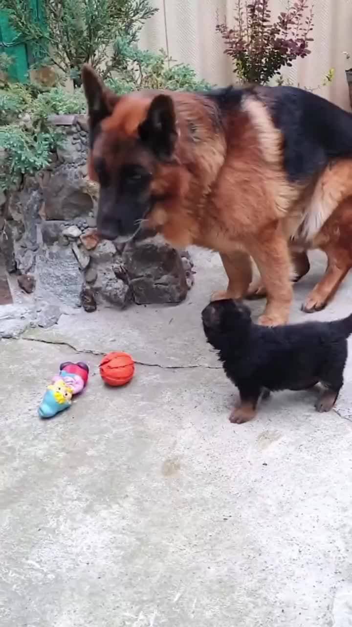 ❤️