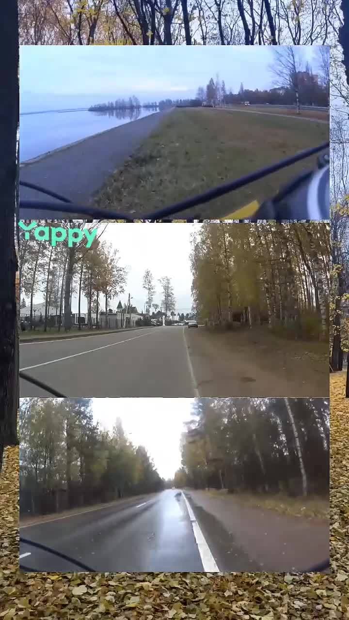 #велосипед #велоспорт #осень #золотаяосень