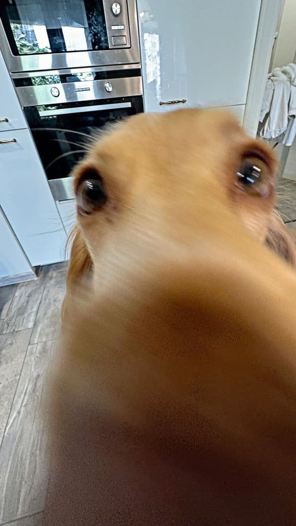 📸