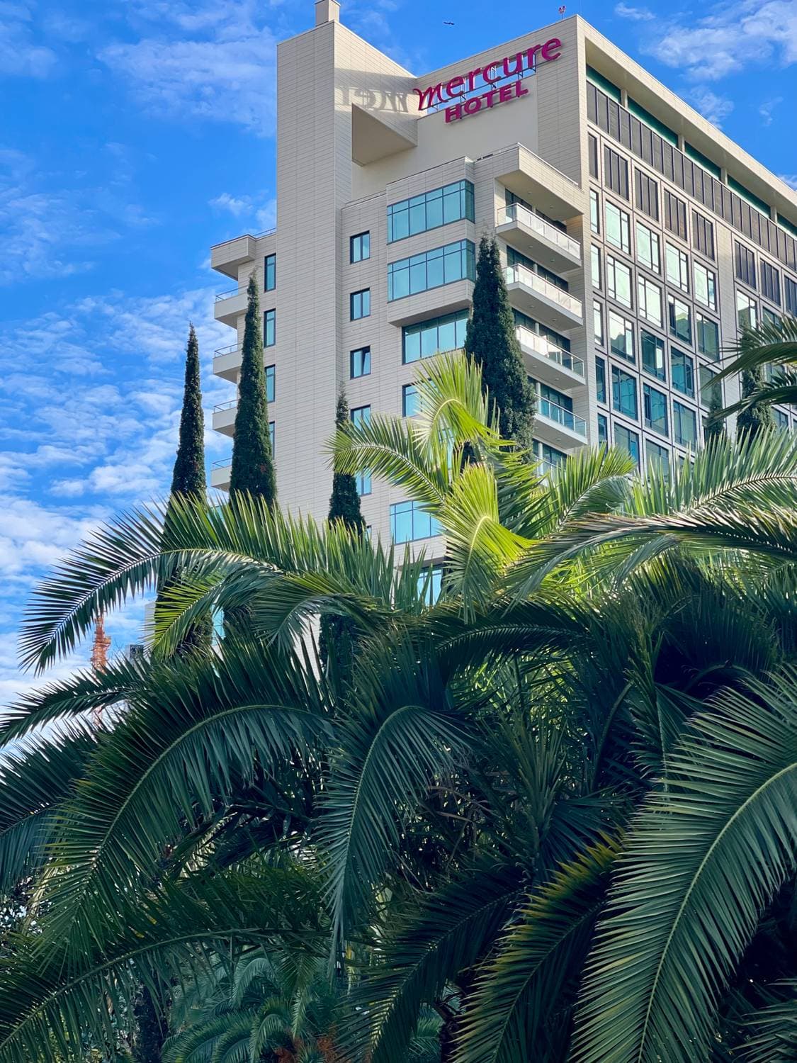 🎄🌴